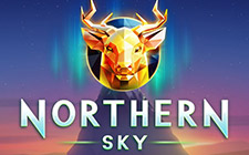 Игровой автомат Northern Sky